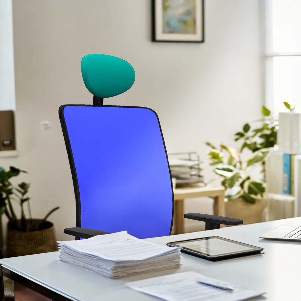 21s2msb1d066n1 tecnica 2.jpg