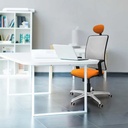 21s2msb2d086g1 tecnica.jpg