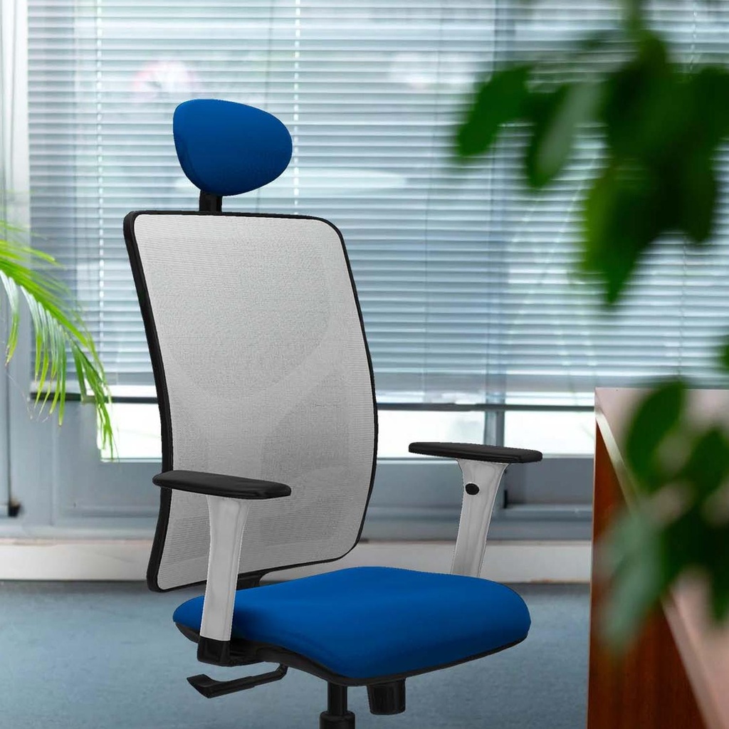 21s2msb1b066n1 tecnica 3.jpg
