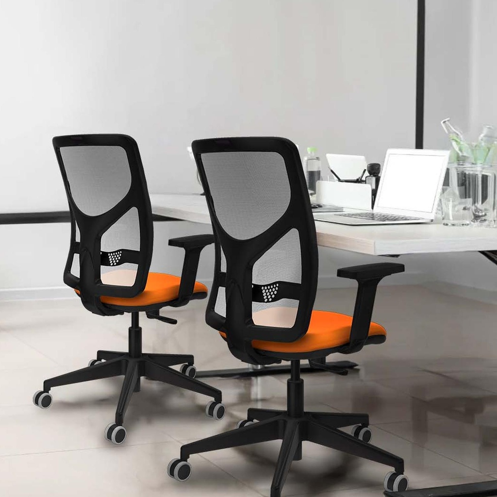 21s2msb2d066g0 tecnica 2.jpg
