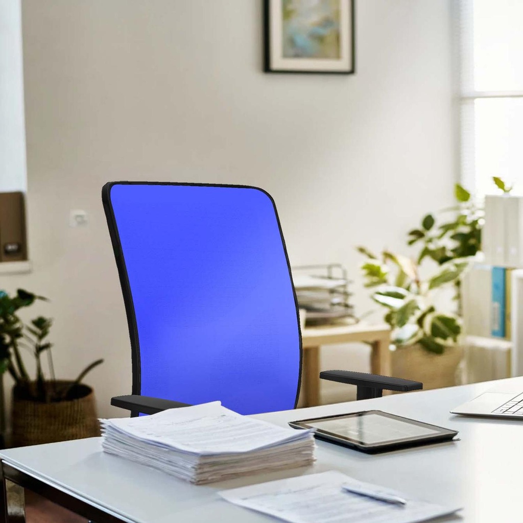 21s2msb1d026n0 tecnica 3.jpg