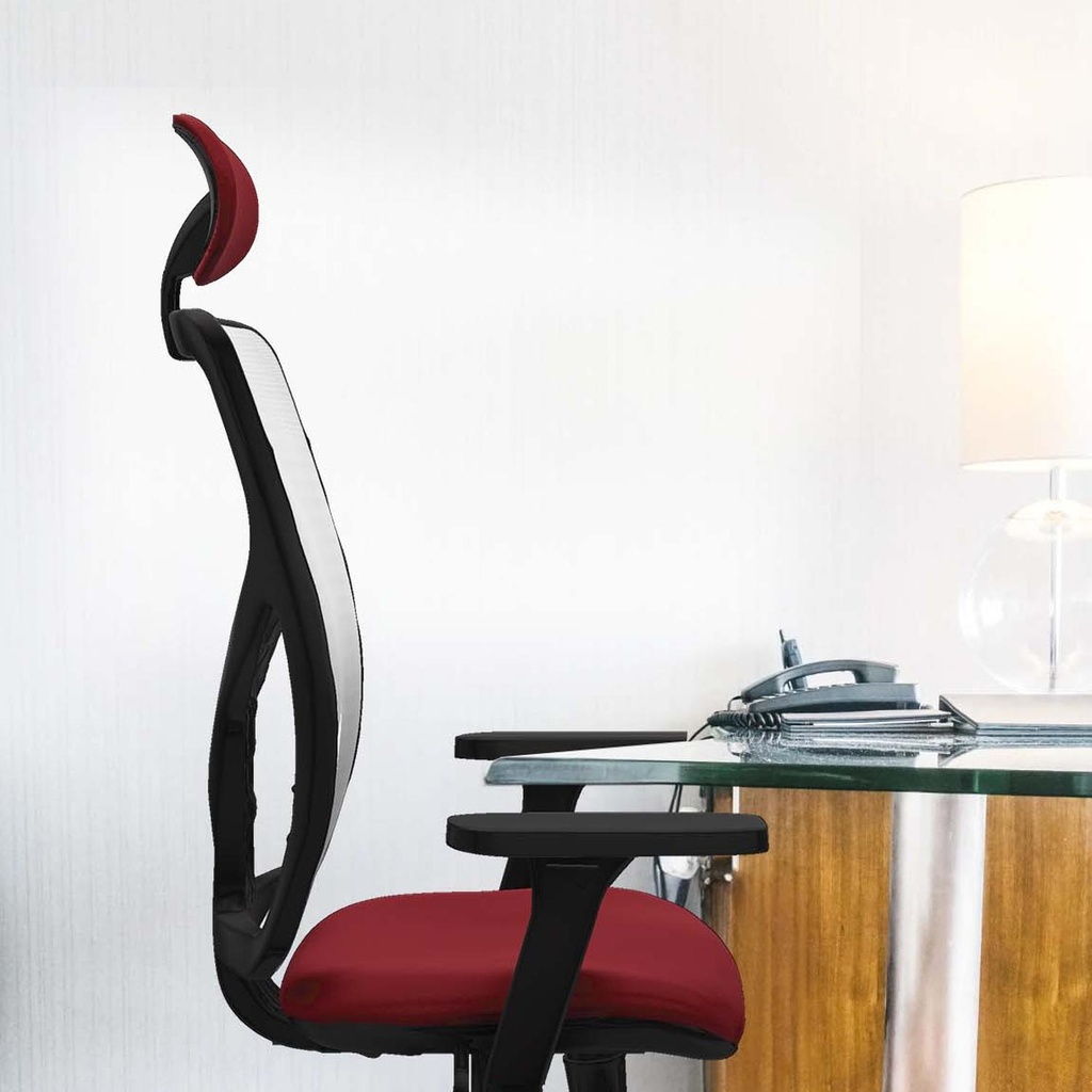 21s2msb3d026n1 tecnica.jpg