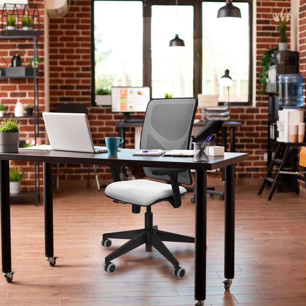 21stmbb3d066g0 tecnica.jpg