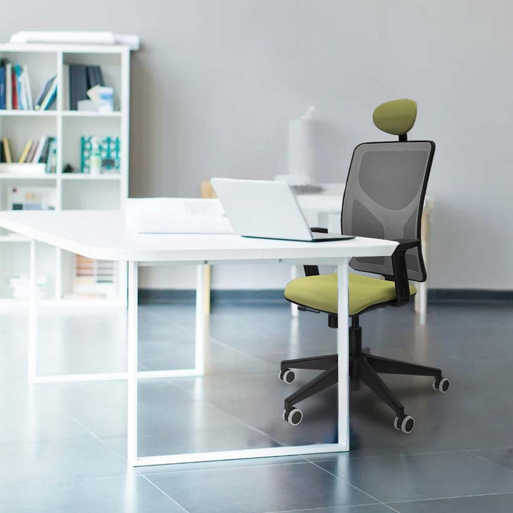 21stmbb2d066g1 tecnica.jpg