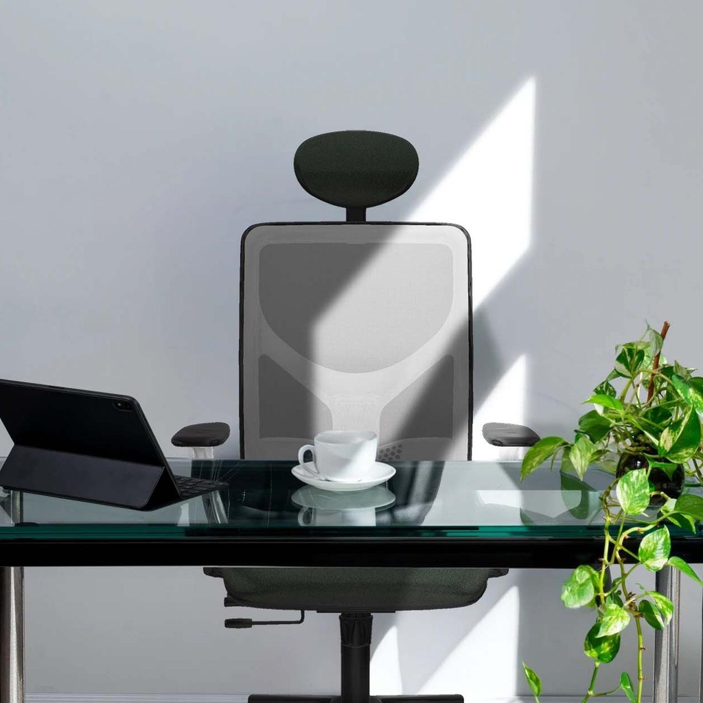 21stmbb1b066g1 tecnica.jpg