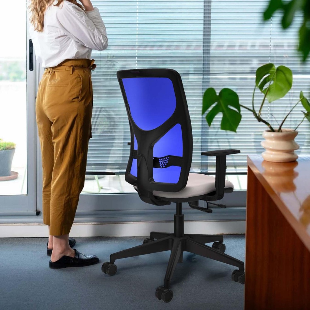 21stmsb1d066n0 tecnica.jpg