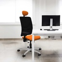 21stmsb3d086n1 tecnica.jpg