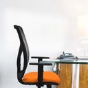 21stmsb1d086n0 tecnica 2.jpg
