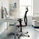 21stmsb2d086g1 tecnica 3.jpg