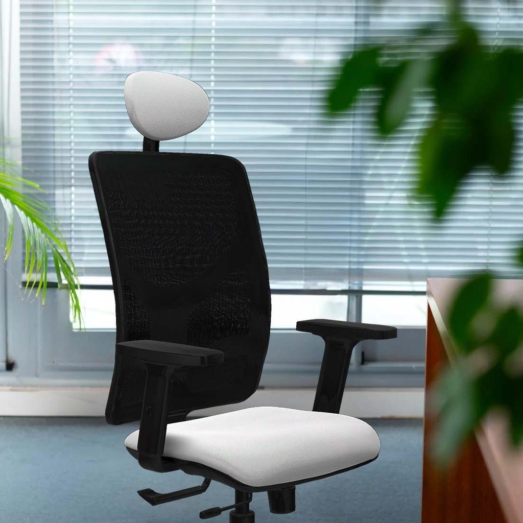 21stmbb2d066g1 tecnica 2.jpg