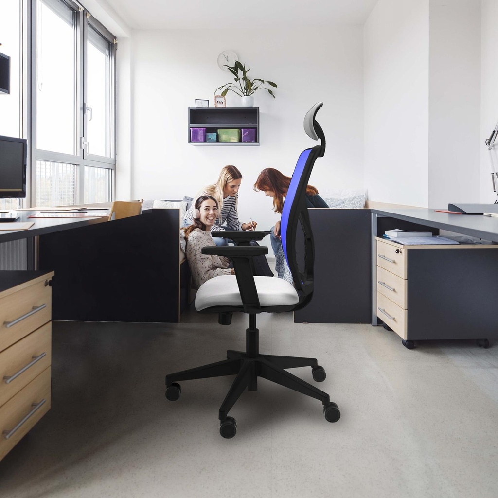 21stmbb2d066n1 tecnica 2.jpg