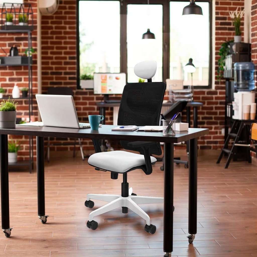 21stmbb3d026n1 tecnica 2.jpg