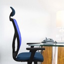 21stmsb3d066g1 tecnica.jpg