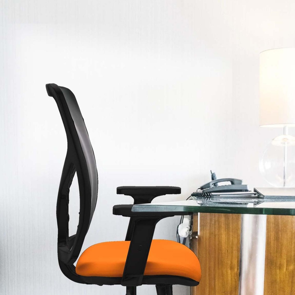21stmsb2d086n0 tecnica.jpg