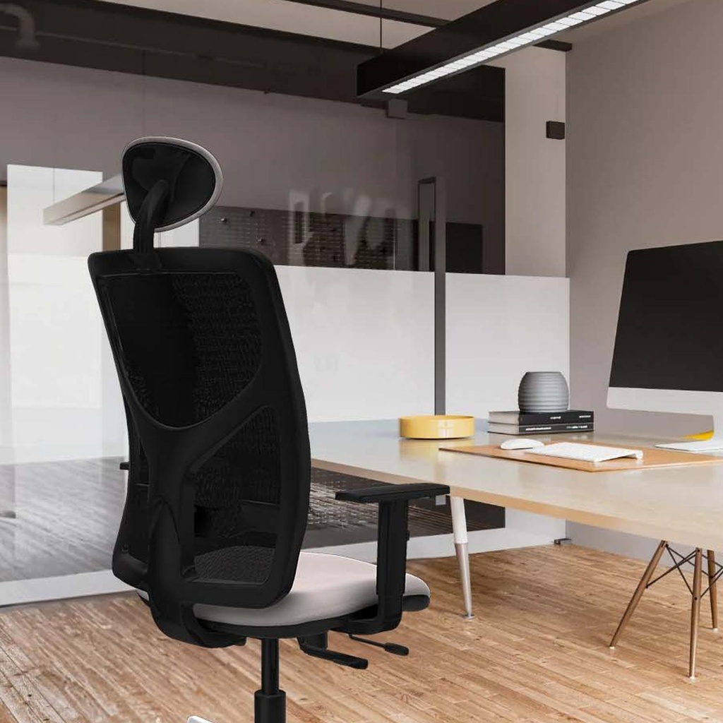 21stmsb1d026n1 tecnica.jpg