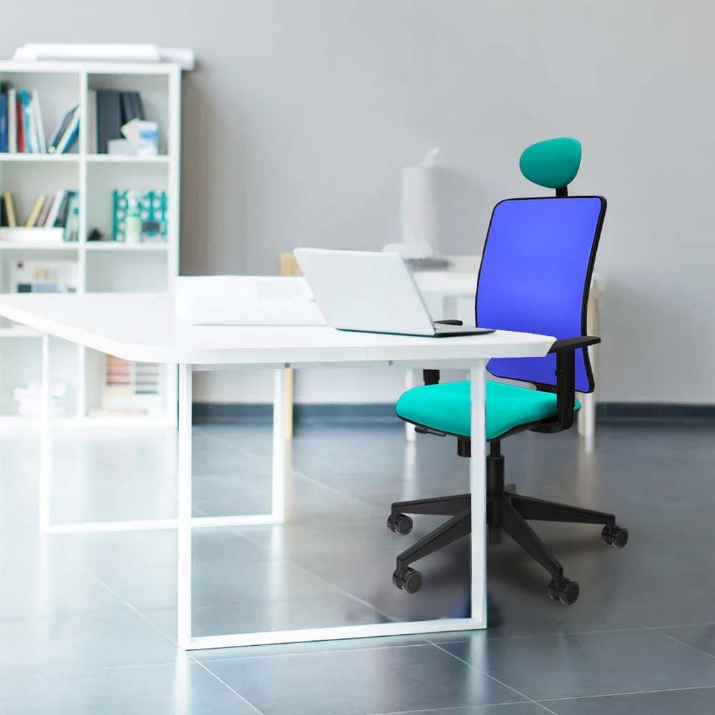 21stmsb1d066n1 tecnica 3.jpg