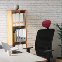 21stmbb1d086g1 tecnica 3.jpg