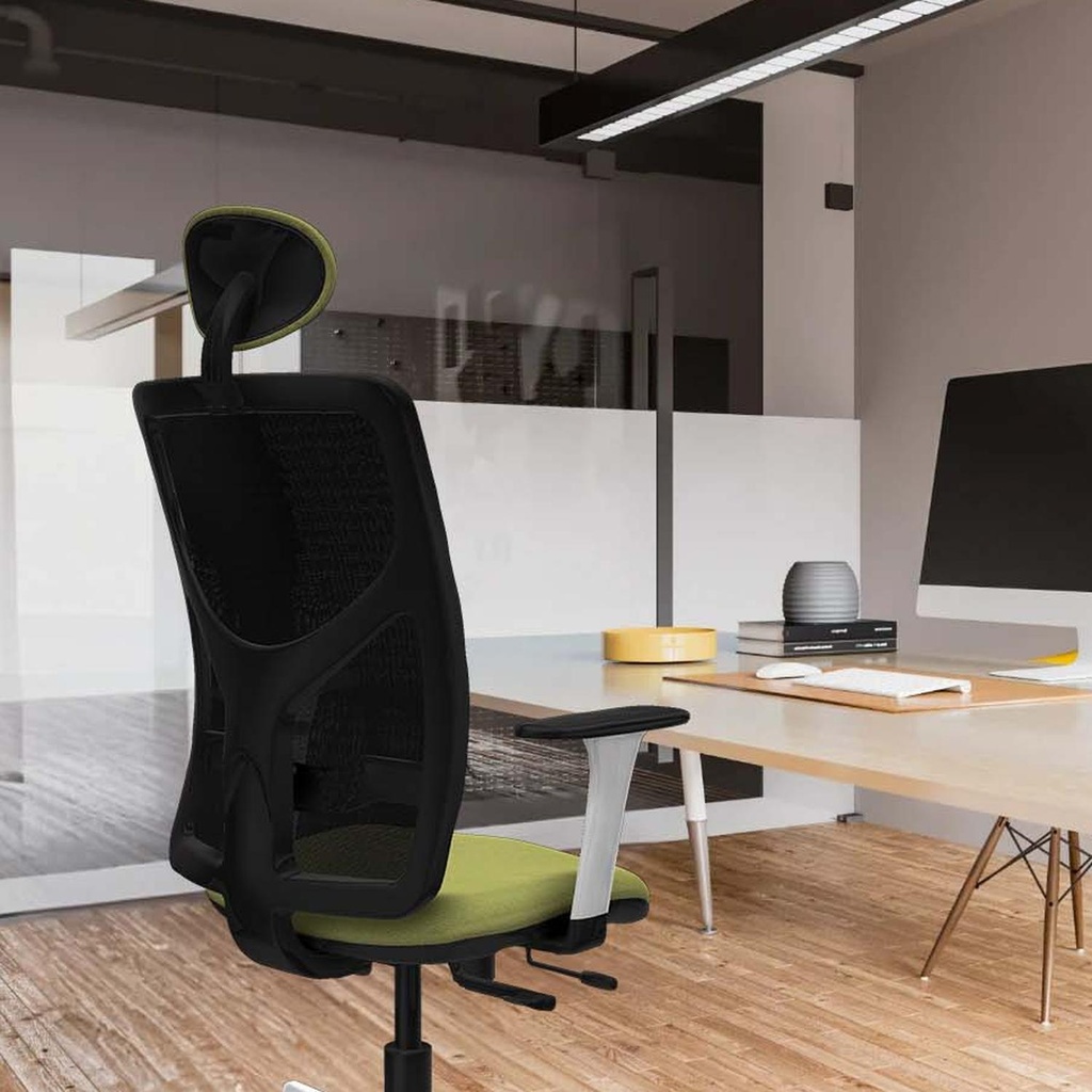21stmbb1b026g1 tecnica.jpg
