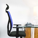 21stmbb1d066g1 tecnica 2.jpg