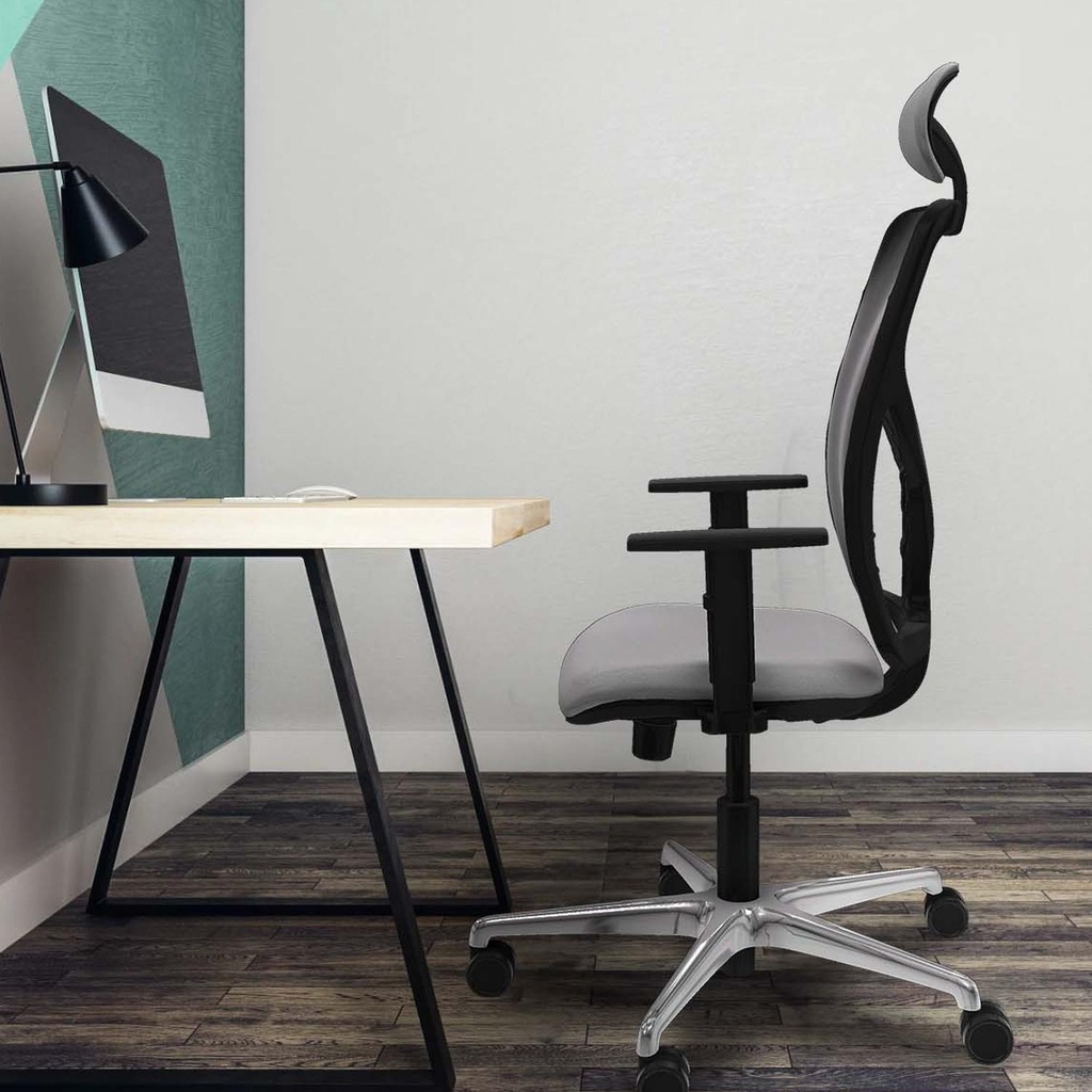 21stmbb1d086n1 tecnica 2.jpg