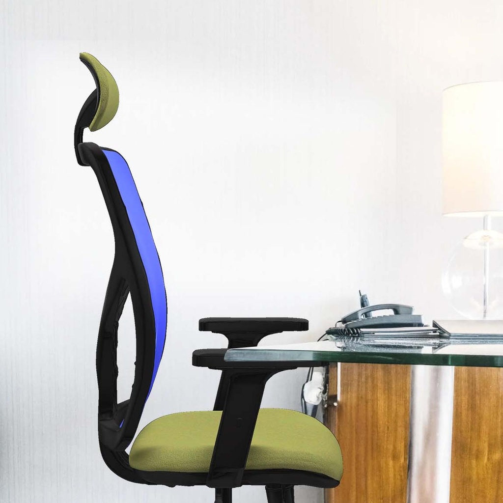 21stmbb2d066n1 tecnica 3.jpg