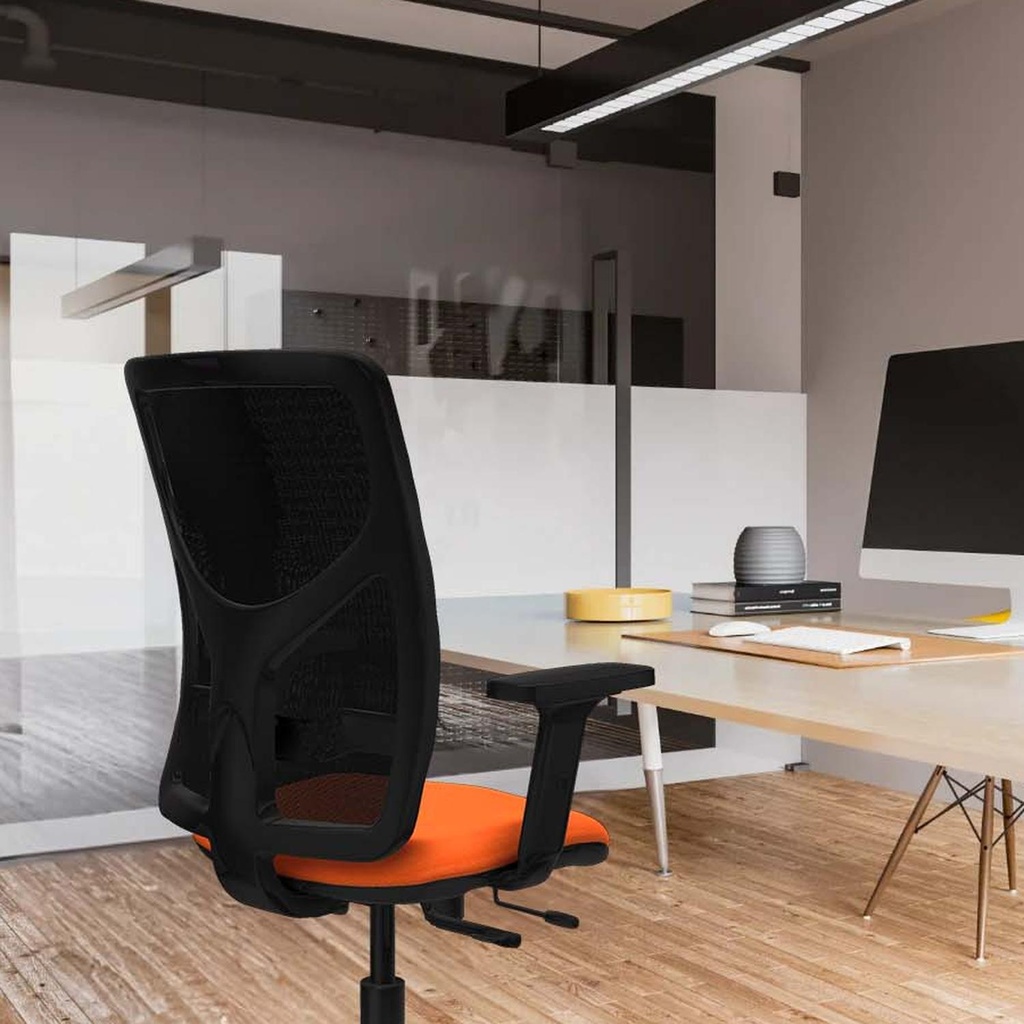 21stmbb2d086g0 tecnica 3.jpg