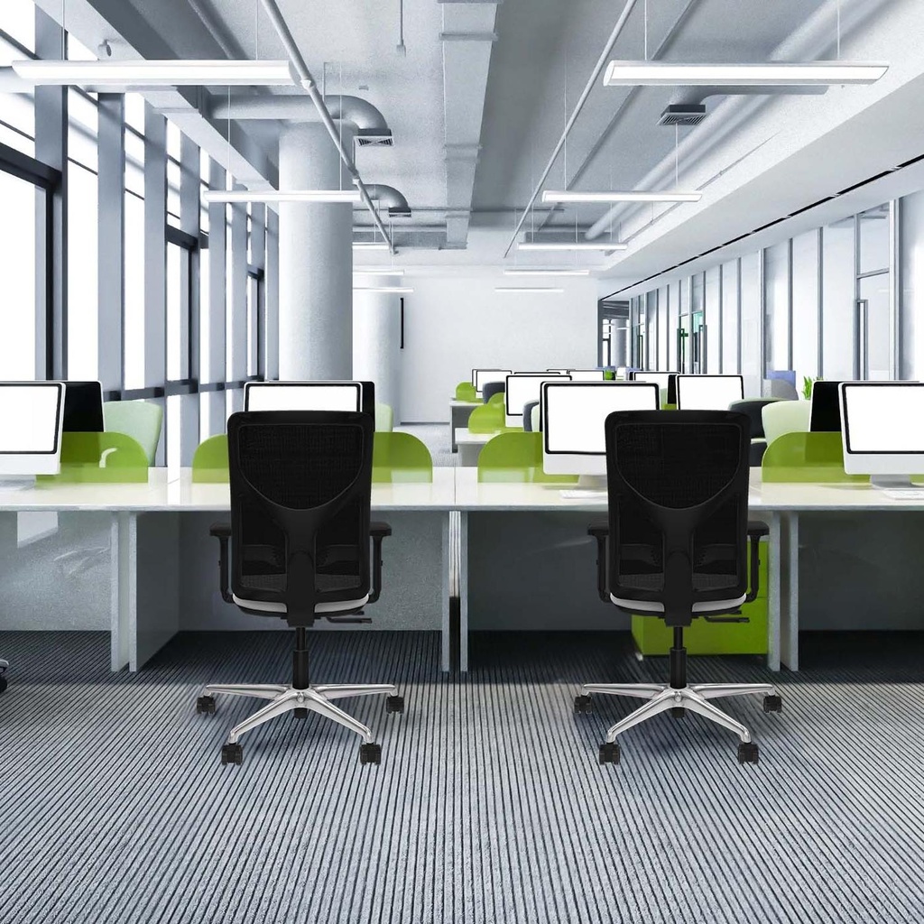 21stmbb2d086n0 tecnica.jpg