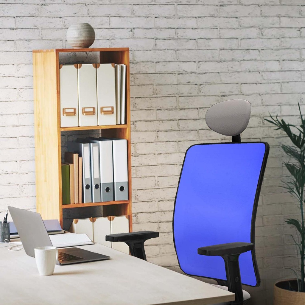 21stmsb2d086g1 tecnica 2.jpg
