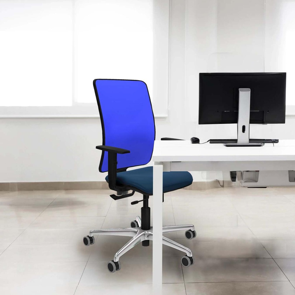 21stmsb1d086g0 tecnica.jpg