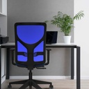 21stmsb1d066n0 tecnica 3.jpg