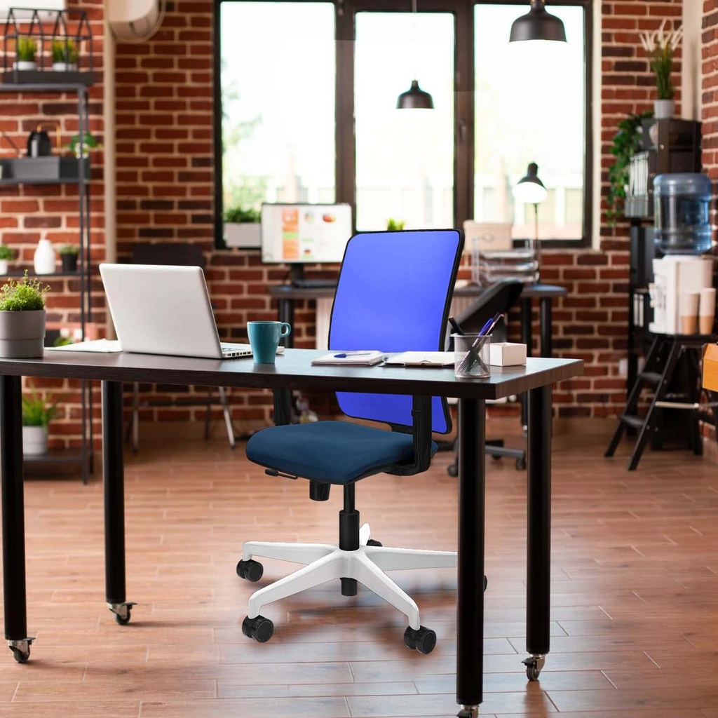 21stmsb1d026n0 tecnica.jpg