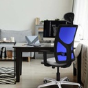 21stmsb1d086g1 tecnica.jpg
