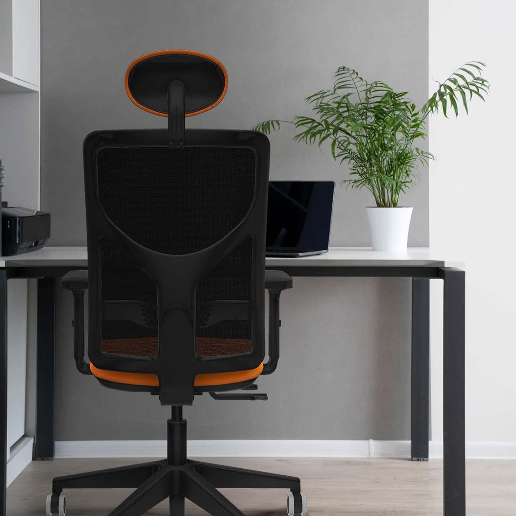 21stmsb2d066g1 tecnica 2.jpg