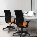 21stmsb3d066g0 tecnica 3.jpg