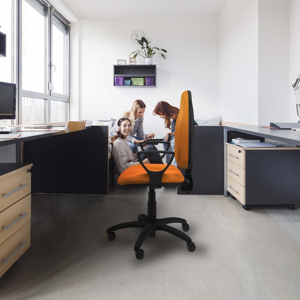 1006cdsbfn01rp tecnica 2.jpg