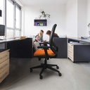 354s2msb3d066n0 tecnica 3.jpg