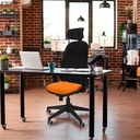 354s2msb2d066g2 tecnica.jpg
