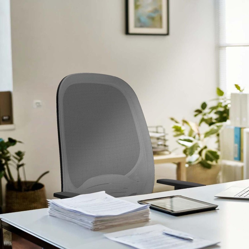 354stmsb1d036n0 tecnica 2.jpg