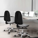 1006cpsb0005rf tecnica 2.jpg