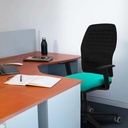394s3msb1d036g0 tecnica 3.jpg