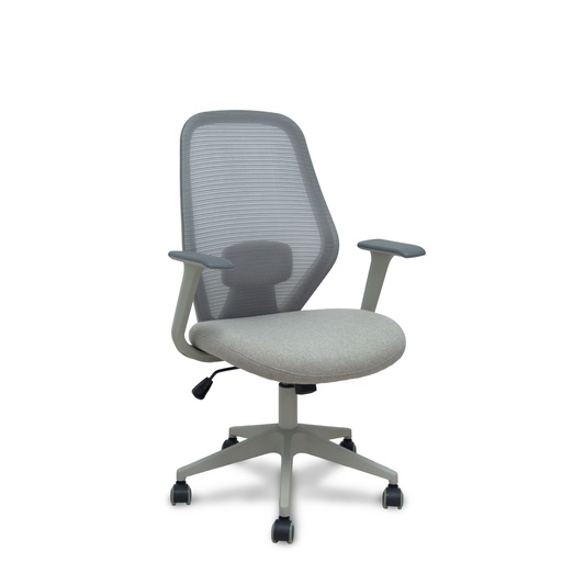 Ergo529