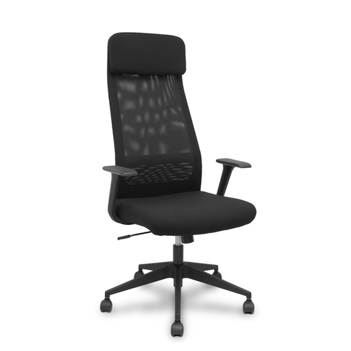 Pro536